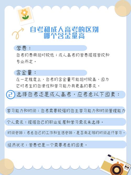 网络专科自考什么专业呢，网络大专和自考大专的含金量是一样的吗