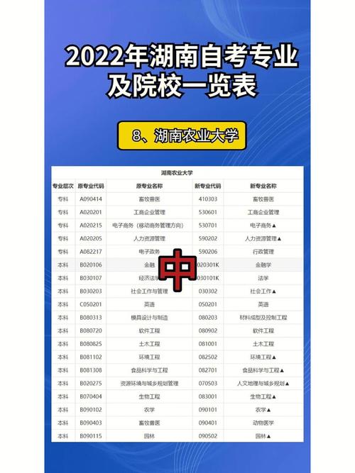 湖南自考政治专业考什么，湖南自考是什么？