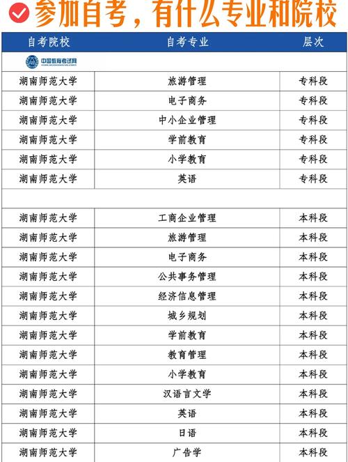 自考本科选什么专业比较，自考本选什么专业好？