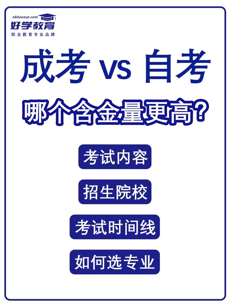 自考网校有哪些专业，自考网教哪个含金量高