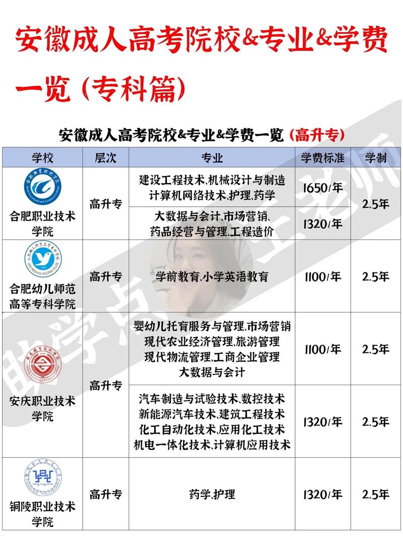 阳东区成考院校有哪些专业，阳东区成人教育股