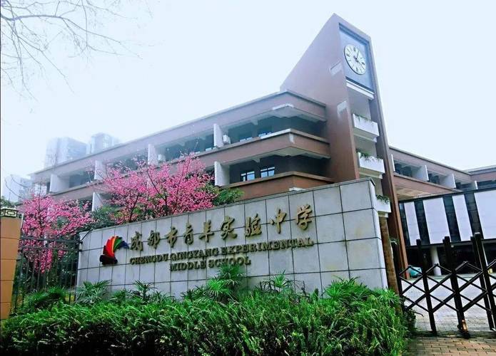 青羊区成考院校有哪些专业,成都青羊区有哪些专科学校?