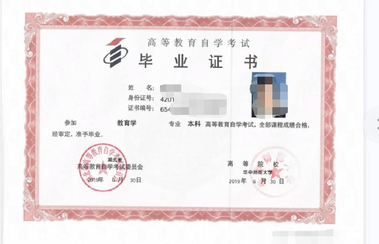 自考本科专业编码什么意思(自考本科专业代码怎么查)