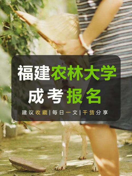 福鼎市成考院校有哪些大学,福鼎成人大专