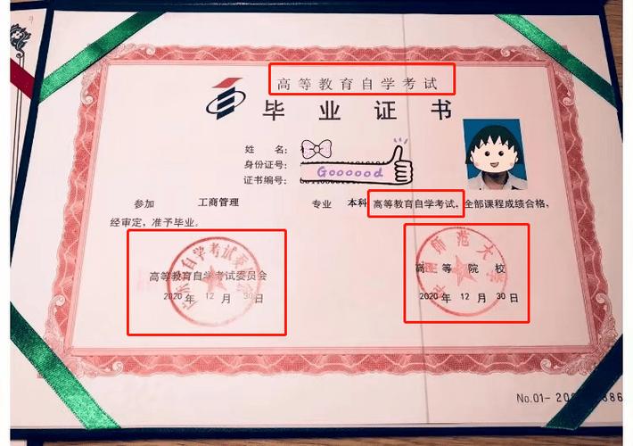 专业的自考文凭是什么文凭(自考是什么学历)