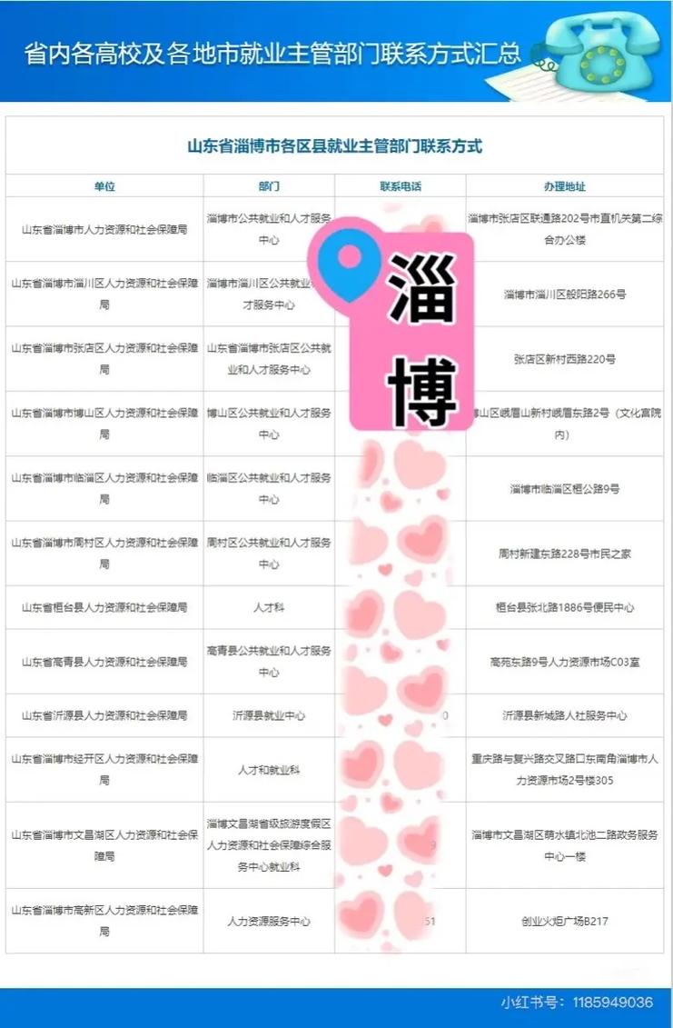 怎么自考税收学研究生专业(自考研究生报名流程)