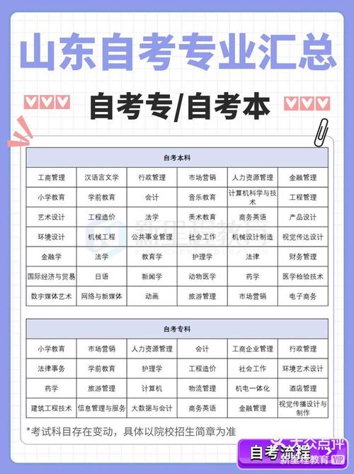 聊城市自考专业有哪些学校(山东省自考本科学校)