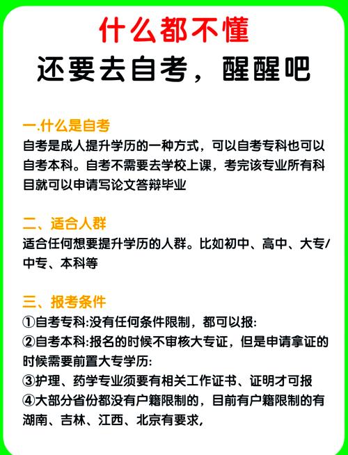自考本科学校怎么查看专业,自考本科怎么查看所报学校