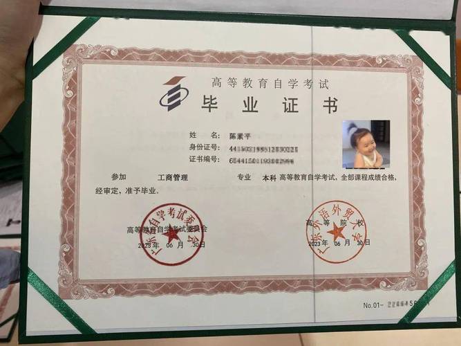 成人自考哪些专业证书实用(成人自考哪个证书最好)