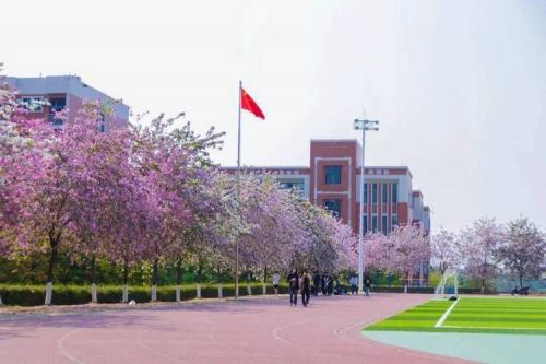 华商学院成考的专业有哪些,华商学院成考的专业有哪些专业?