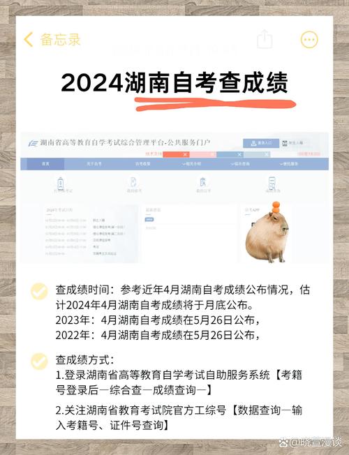 忘了自考报考专业怎么查询(我忘记自己自考报的哪一门了,怎么查)