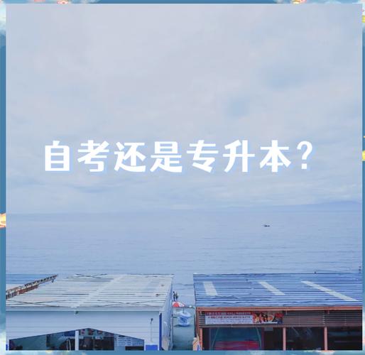 大专自考升本选什么专业好(在校大专生自考本科选什么专业)