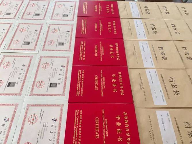 自考哪些专业考老师证(自考本什么专业都能考教师证吗)