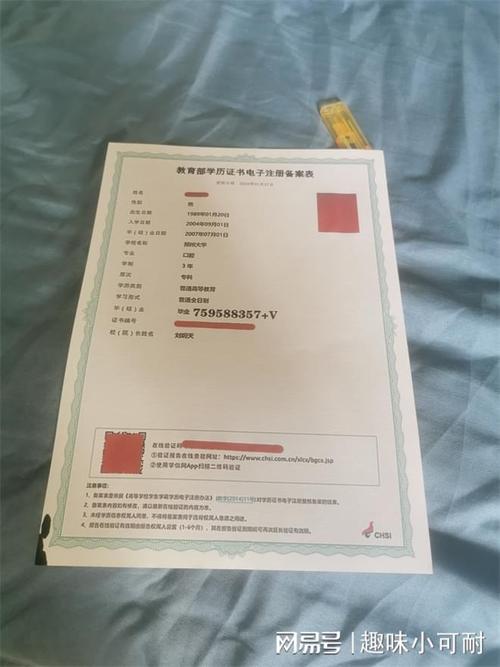 成考大学文凭能考什么，成考学历可以考什么