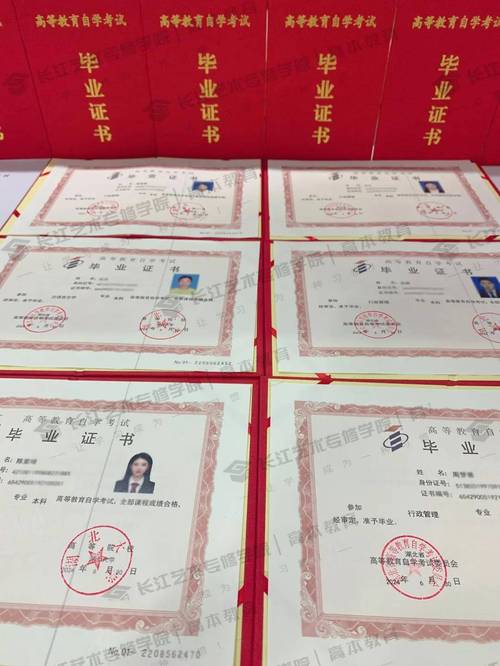 自考如何自己申请专业证书(如何申请自考毕业证书)
