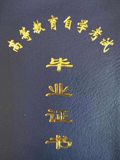 如何自考美术专业培训(对于专科,如何自考四川美术学院本科学位)