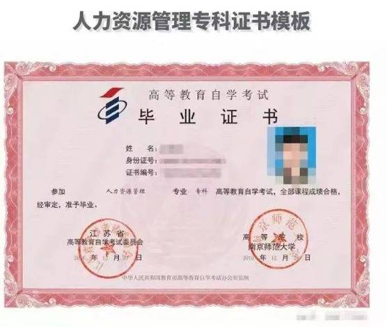 20岁自考学什么专业(考研难吗,我初中文凭,20岁,我想自考本科汉语言文学专业,再考研难吗)