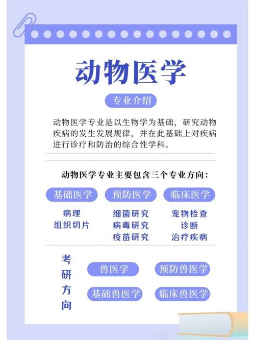 护理自考本科考什么专业好(护理大专毕业现在想升本科,可以选哪些专业)